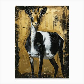 Antelope 26 Canvas Print