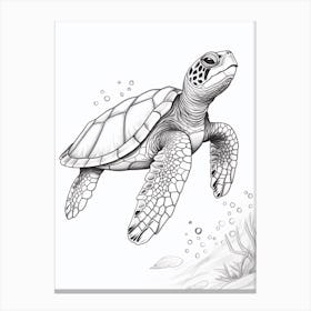 Realistic Sea Turtle Line Illustration 3 Canvas Print