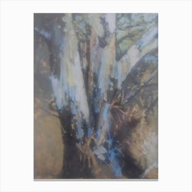 Eucalyptus Tree Canvas Print