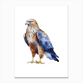 Eagle Watercolor Painting. Canvas Print