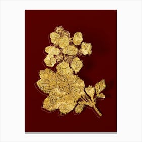 Vintage Oakleaf Hydrangea Botanical in Gold on Red n.0586 Canvas Print