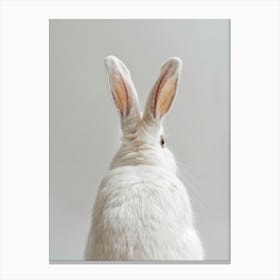 White Rabbit Canvas Print