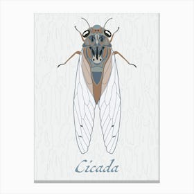 Cicada Bug Insect Australia Beetle 12 Leinwandbild