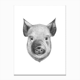 Pig Boy Canvas Print