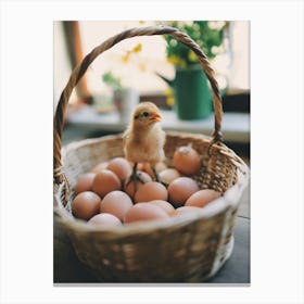 Chicken In A Basket Canvas Print