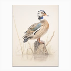 Vintage Bird Drawing Wood Duck 1 Canvas Print