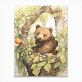 Storybook Animal Watercolour Brown Bear 4 Canvas Print