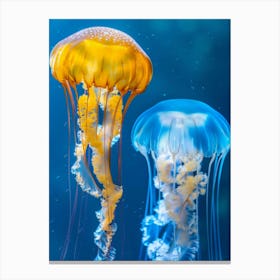 Jellyfishes 2 Canvas Print