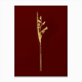 Vintage Powdery Alligator Flag Botanical in Gold on Red n.0585 Canvas Print