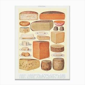 Cheeses Of The World Canvas Print