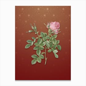 Vintage Dwarf Damask Rose Botanical on Falu Red Pattern n.2585 Canvas Print