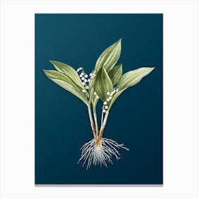 Vintage Lily of the Valley Botanical Art on Teal Blue n.0357 Canvas Print