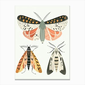 Colourful Insect Illustration Moth 29 Canvas Print