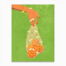 Fresh Oranges Canvas Print