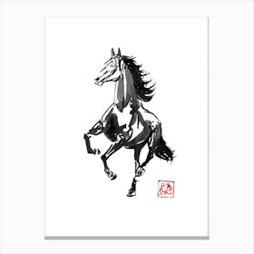 Running Horse 04 Canvas Print