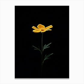 Single Yellow Flower 4 Canvas Print