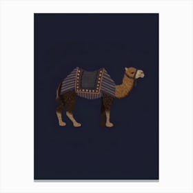 Camel Canvas Print