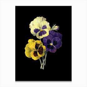 Pansies 2 Canvas Print