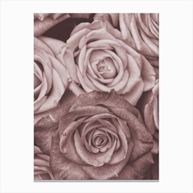 Vintage Style Roses Pink Canvas Print