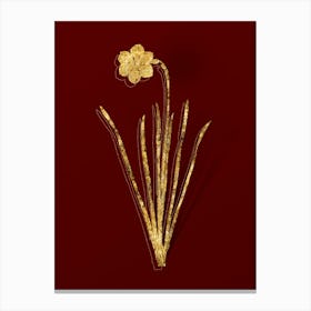 Vintage Narcissus Poeticus Botanical in Gold on Red n.0605 Canvas Print