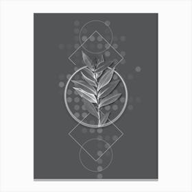 Vintage Smilacina Stellata Botanical with Line Motif and Dot Pattern in Ghost Gray n.0260 Canvas Print