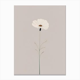 Cosmos Wildflower Simplicity Canvas Print