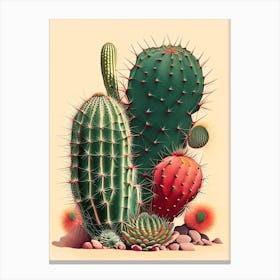 Notocactus Cactus Retro Drawing 1 Canvas Print