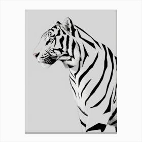 Tiger Canvas Print Canvas Print