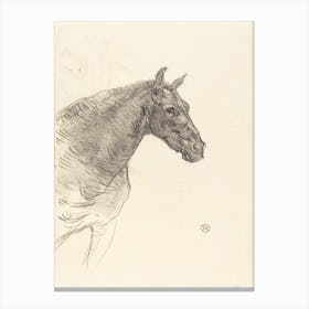 Old Horse (Le Vieux Cheval), (1897), 1, Henri de Toulouse-Lautrec Canvas Print