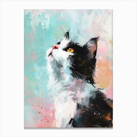 Cat In The Sky 8 Canvas Print