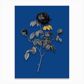 Vintage Agatha Rose in Bloom Black and White Gold Leaf Floral Art on Midnight Blue n.0735 Canvas Print