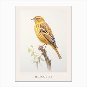 Vintage Bird Drawing Yellowhammer 1 Poster Canvas Print
