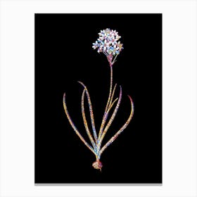 Stained Glass Arabian Starflower Mosaic Botanical Illustration on Black n.0227 Canvas Print