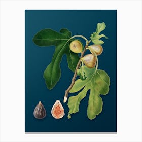 Vintage Figs Botanical Art on Teal Blue n.0071 Canvas Print