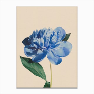 Botanic Antique Blue Canvas Print