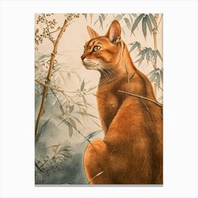 Abyssinian Cat Japanese Illustration 2 Canvas Print