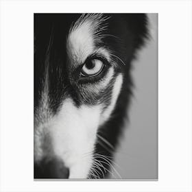 Black And White Dog Portrait Canvas Print