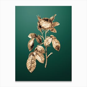 Gold Botanical Red Gallic Rose on Dark Spring Green n.3993 Canvas Print