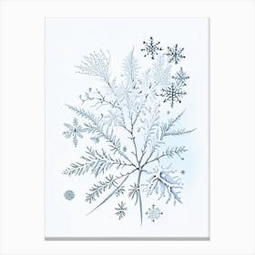 Winter, Snowflakes, Quentin Blake Illustration Canvas Print