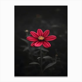 Dark Flower 10 Canvas Print