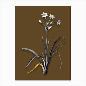 Vintage Crytanthus Vittatus Black and White Gold Leaf Floral Art on Coffee Brown n.0434 Canvas Print