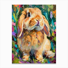 Holland Lop Rabbit Painting 4 Canvas Print