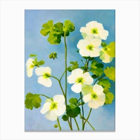 Geranium Bold Graphic Plant Canvas Print