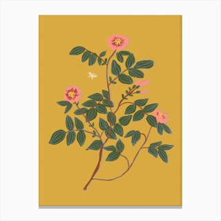 Wild Rose Canvas Print