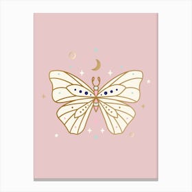Butterfly On Pink Canvas Print