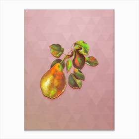 Vintage Pear Branch Botanical Art on Crystal Rose n.0680 Canvas Print