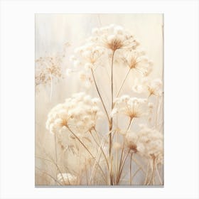 Boho Dried Flowers Queen Annes Lace 7 Canvas Print