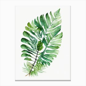 Royal Fern 1 Watercolour Canvas Print