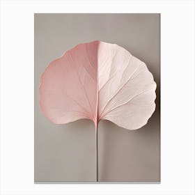 Pink Gingko Leaf Canvas Print