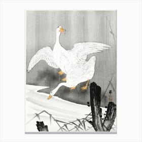 Two Geese On A River (1900 1930), Ohara Koson Canvas Print